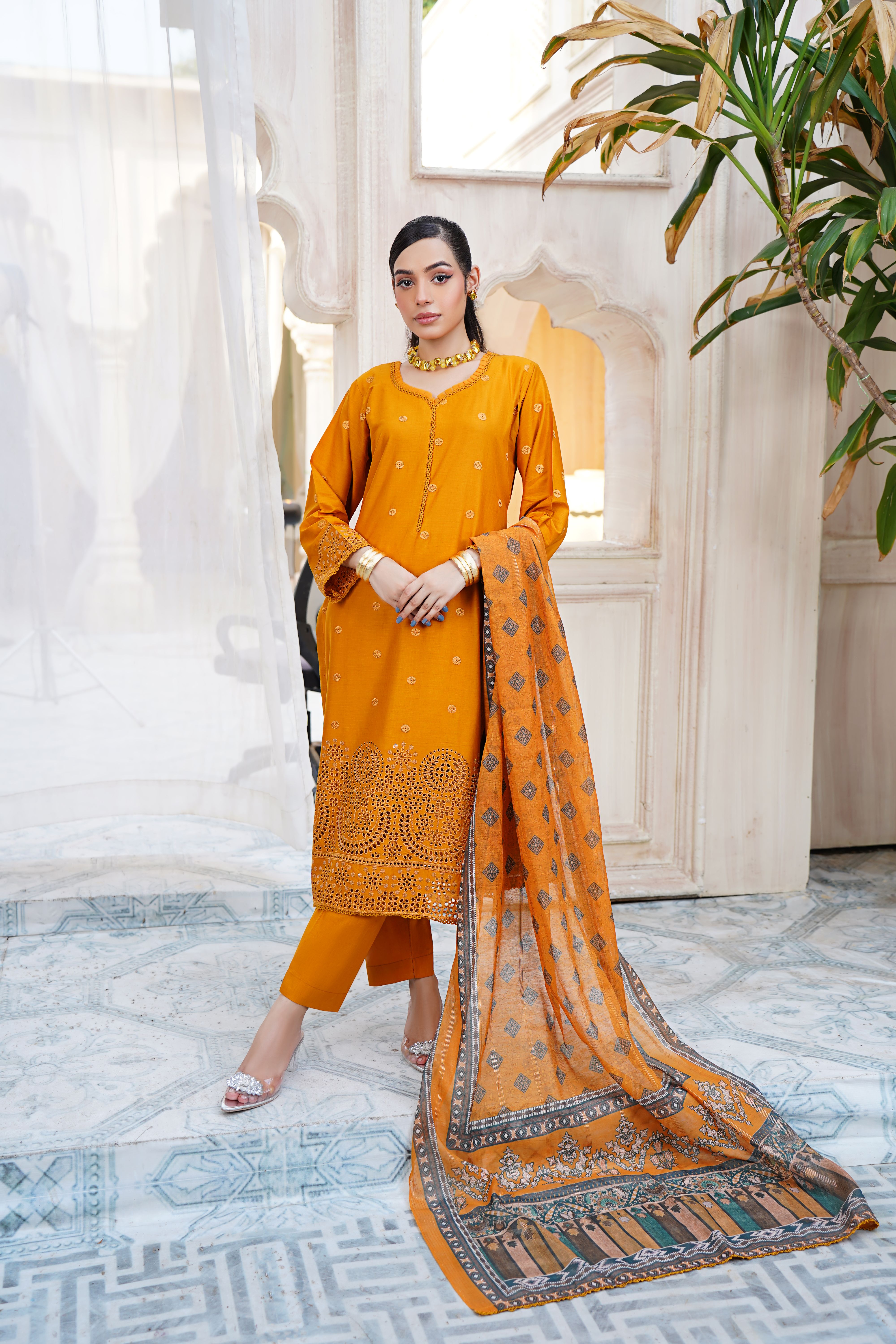 Beautiful portrait of a woman in traditional Pakistani attire indoors, Lahore.
