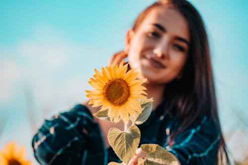 Frau, Die Sonnenblume Hält