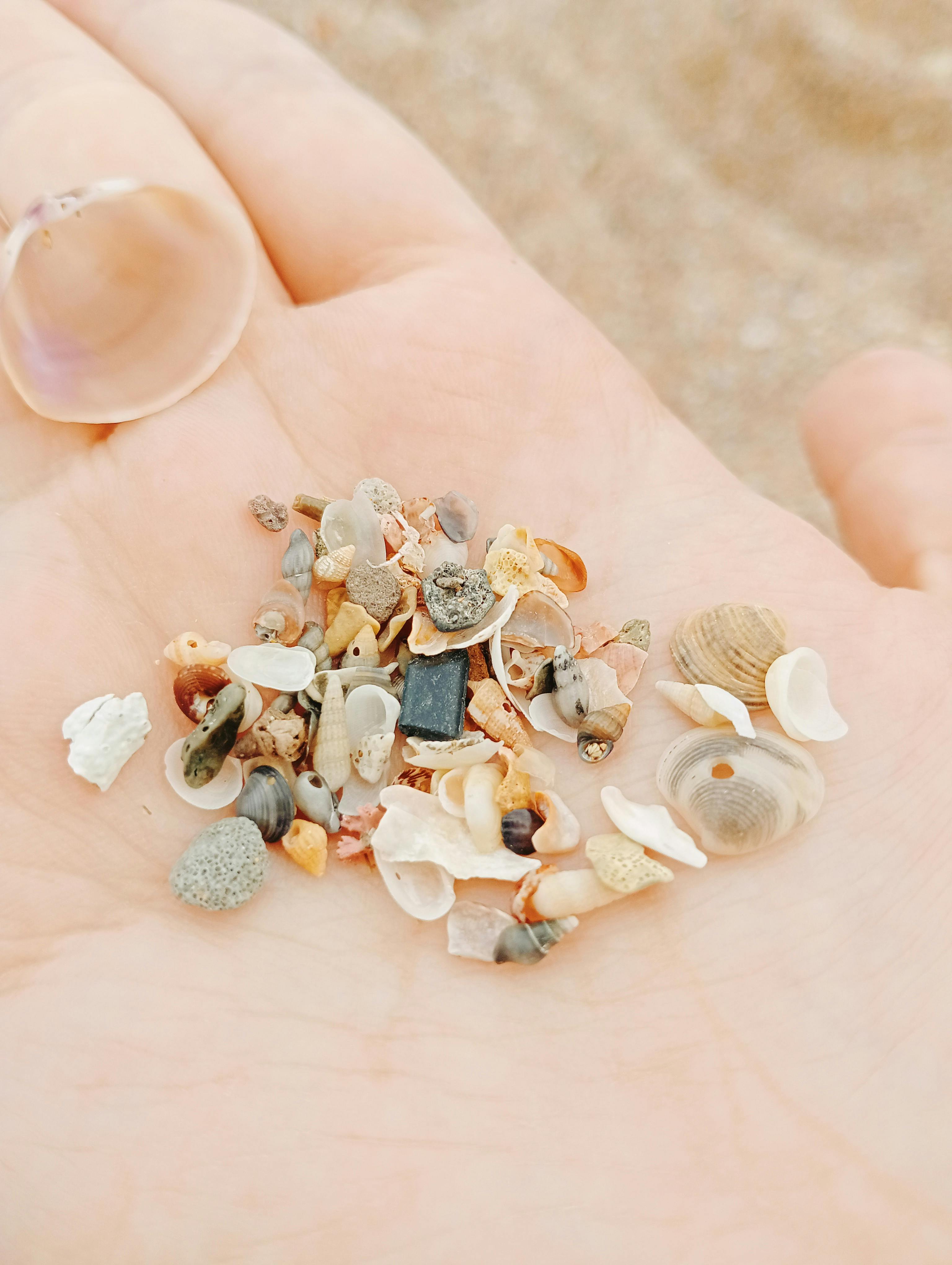 Close-up of assorted seashells in a hand on Cala Tirant beach, embodying tranquility and nature's beauty.