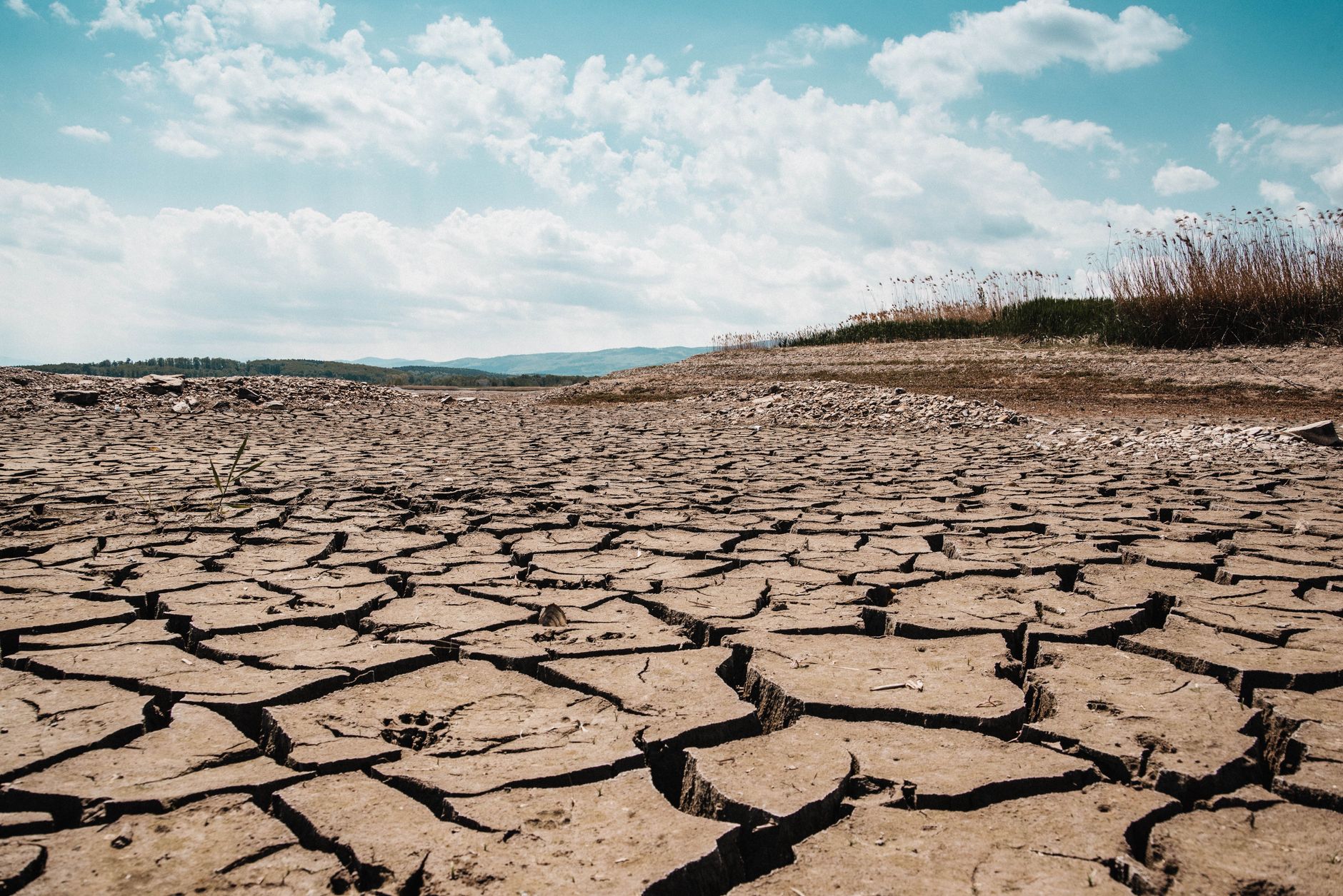 Global hunger report warns war, drought and aid shortfalls will keep food crises critical in 2026