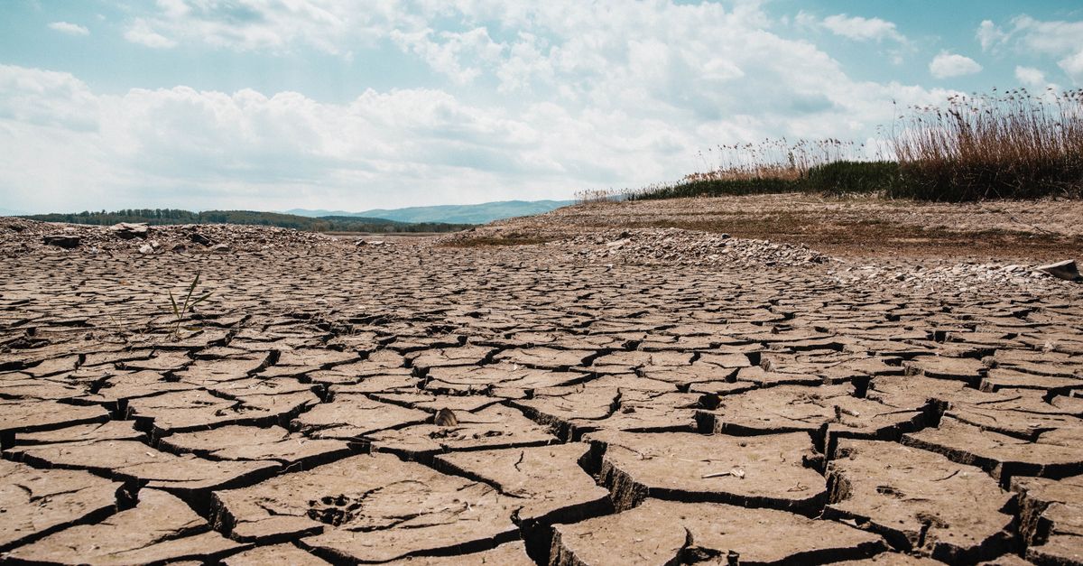 Photo by Dominika P A stark landscape of cracked dry earth beneath a clear blue sky, depicting arid climate and drought.