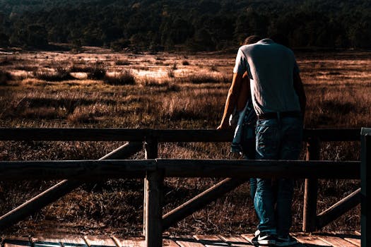 Free stock photo of wood, light, man, couple