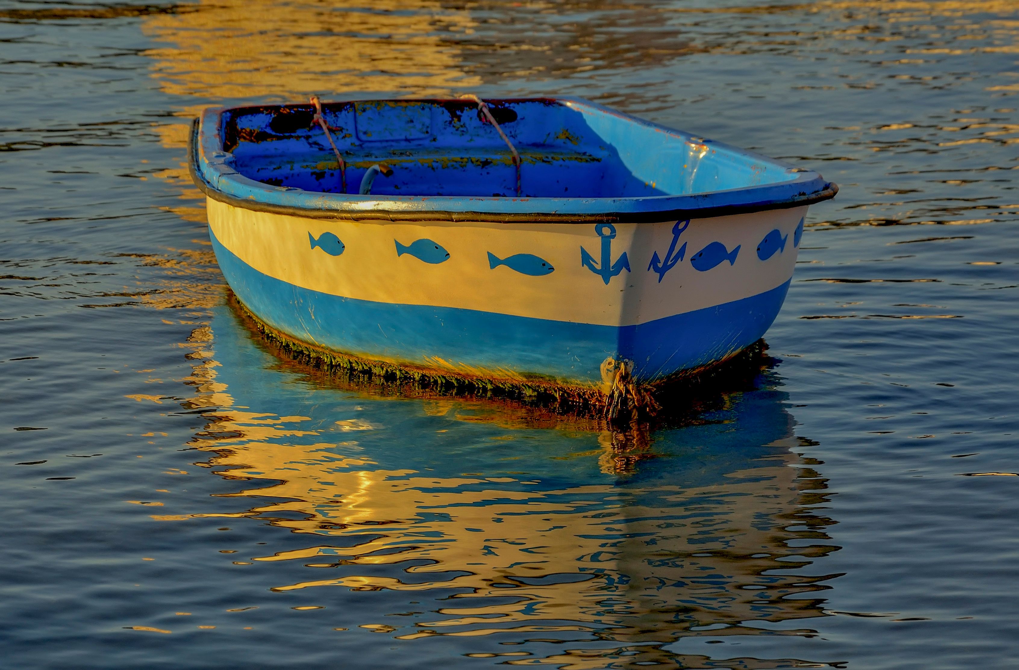 Nautical Motifs