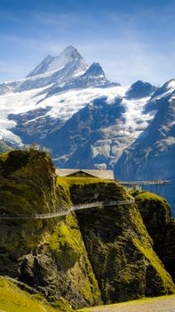 Breathtaking view of the First Cliff Walk in Grindelwald, Switzerland, showcasing majestic Swiss Alps.