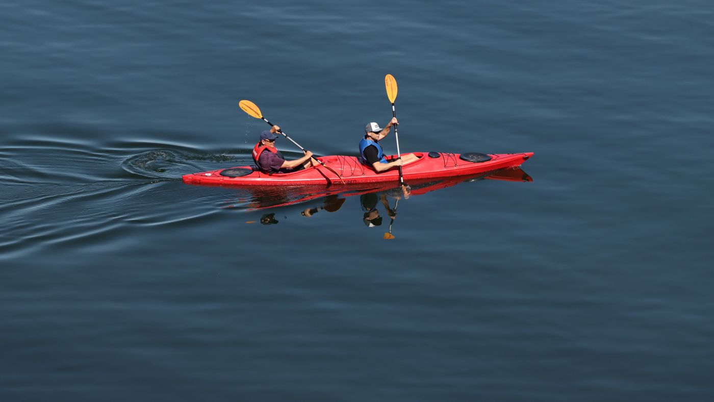 La Jolla Sea Caves: Seven Caverns, One Staircase, and a Kayak Worth Renting