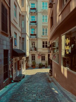 Beautiful cobblestone alley surrounded by classic architecture in a European city.
