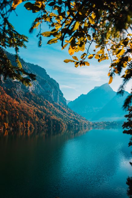 A cosy autumn day from forest to table