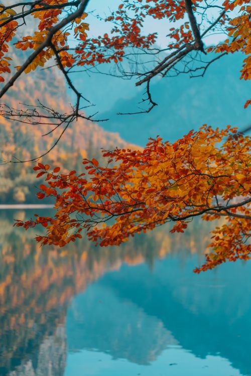 Free Peaceful autumn scene with colorful leaves and lake reflection in Eisenerz, Austria. Stock Photo