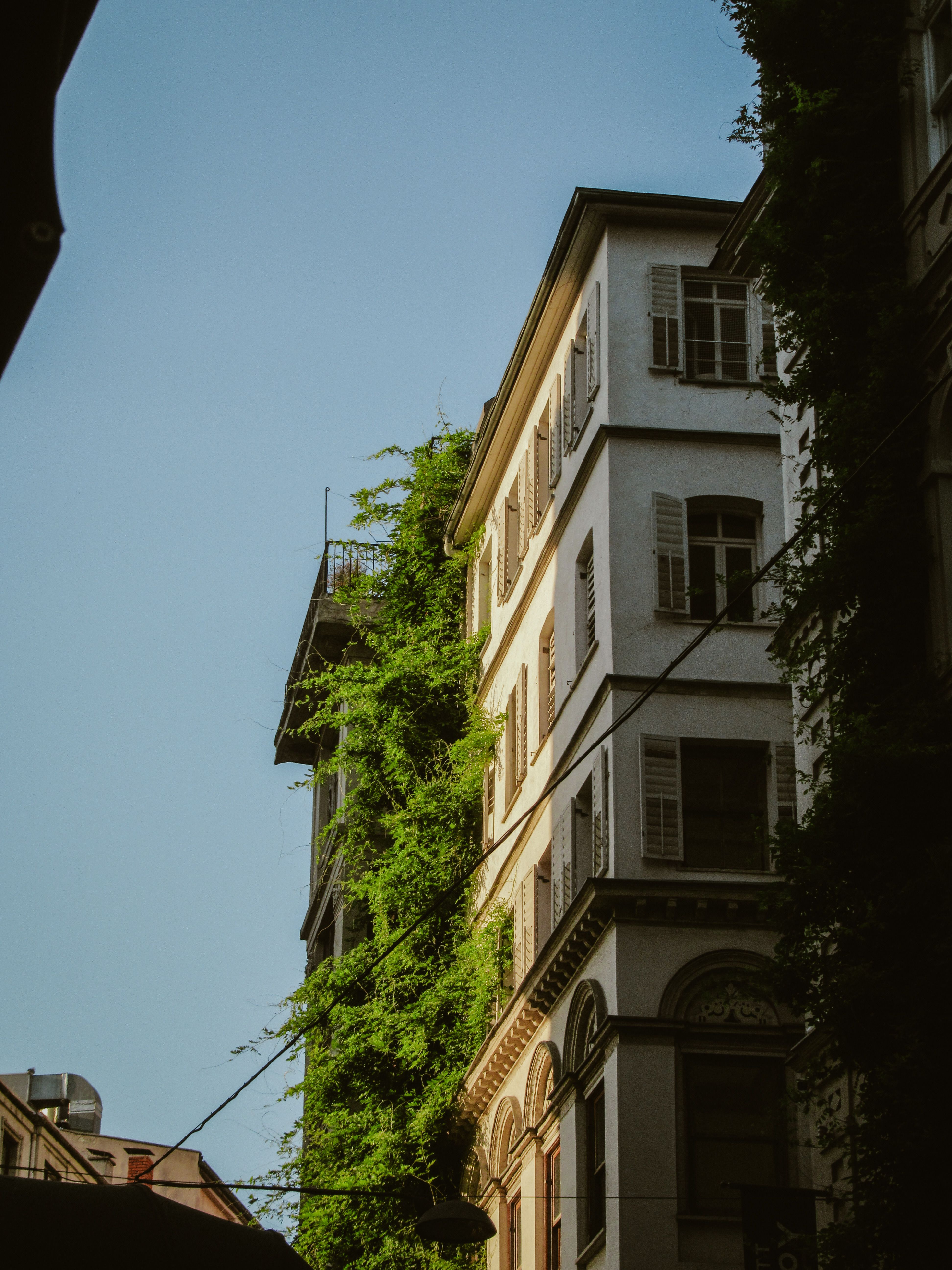 Free A classic Istanbul building covered in ivy, captured under a bright summer sky. Stock Photo
