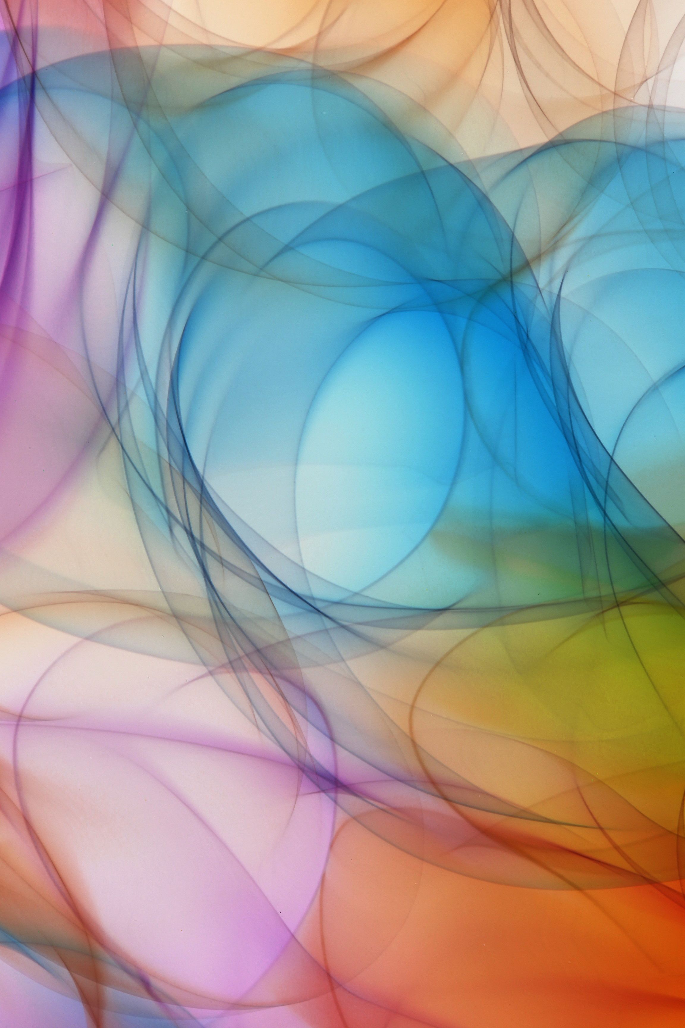 A vibrant blend of colors and curves create a dynamic abstract art piece.