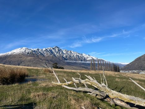 Gibbston Valley wine estates — New Zealand — Queenstown