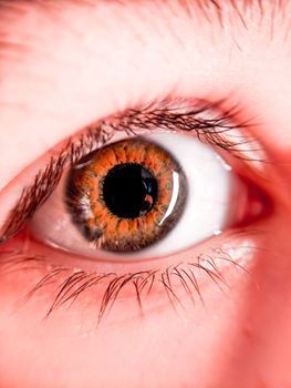Detailed macro shot showcasing the colors and details of a human eye.
