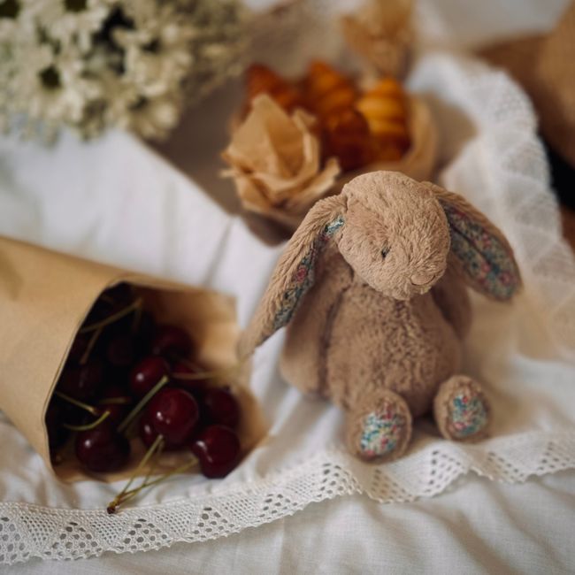 Soft Toys & Plush