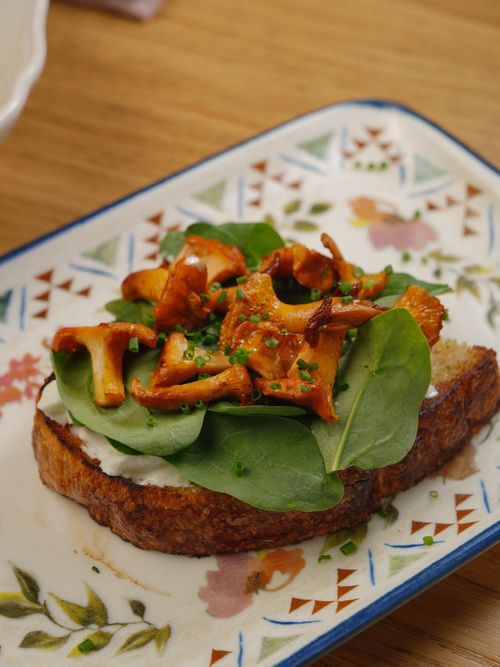 Free Delicious open-faced sandwich with chanterelle mushrooms and spinach on a rustic toast. Stock Photo