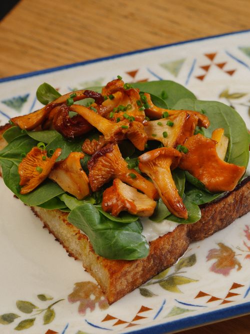 Free Delightful chanterelle mushroom toast topped with fresh spinach leaves. Stock Photo