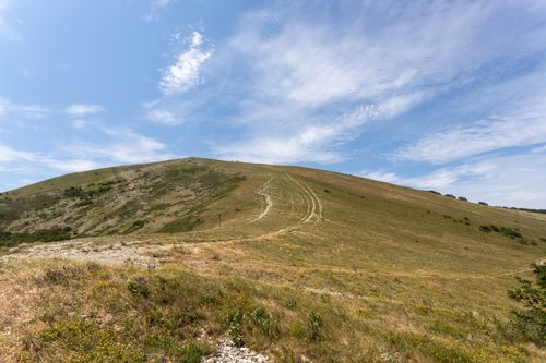 Free A peaceful hillside with a winding path under a bright blue sky and scattered clouds. Stock Photo