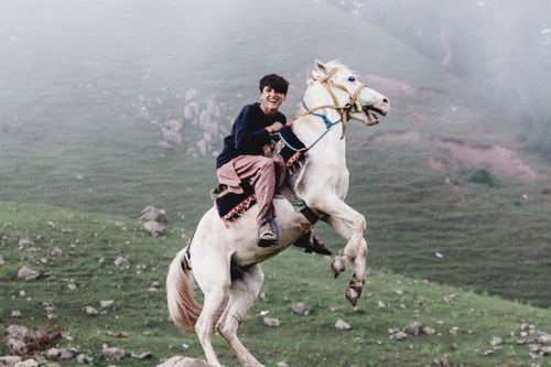 Free A young man joyfully rides a horse in the lush green landscape of Naran, Pakistan. Stock Photo