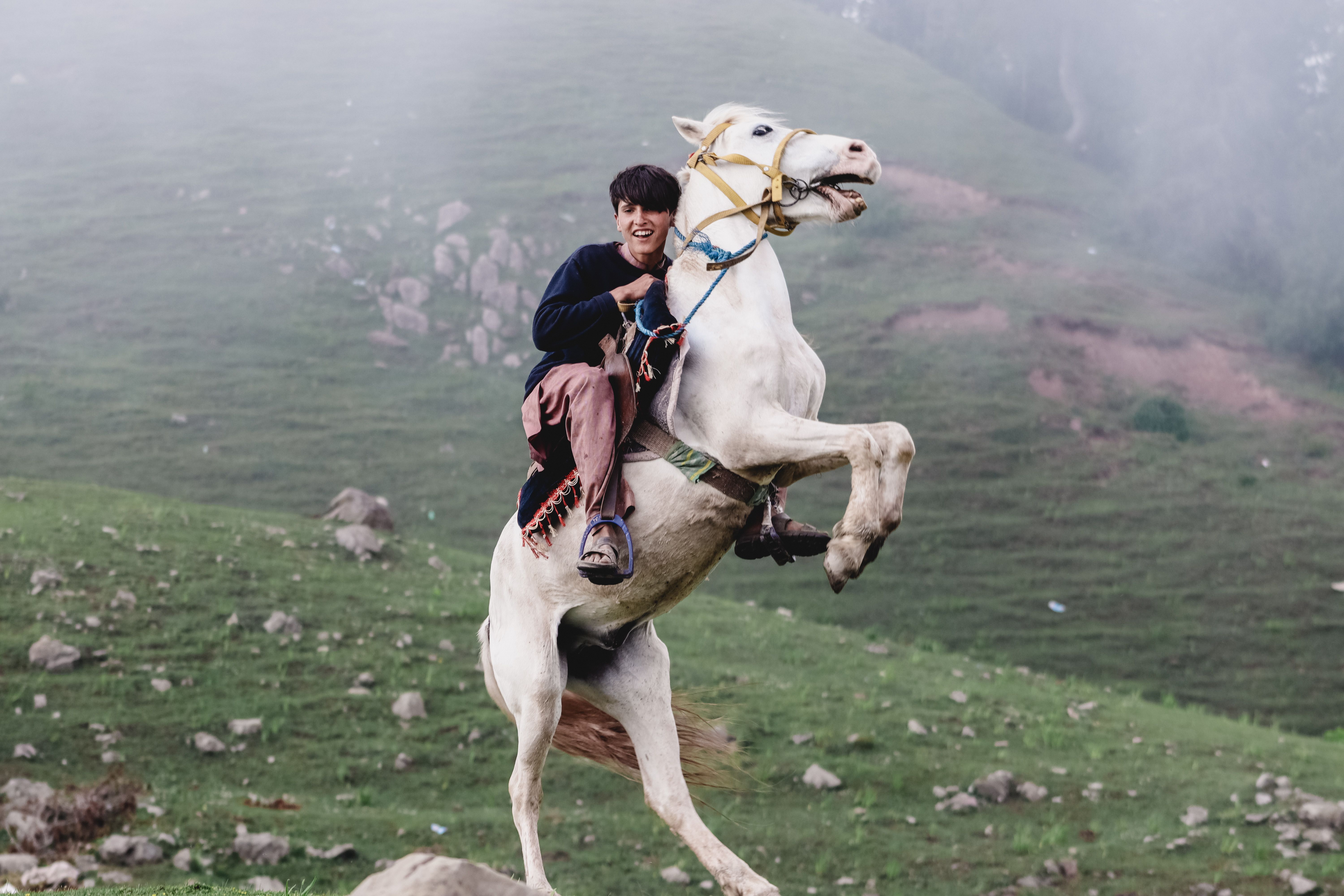The plains of Deosai National Park