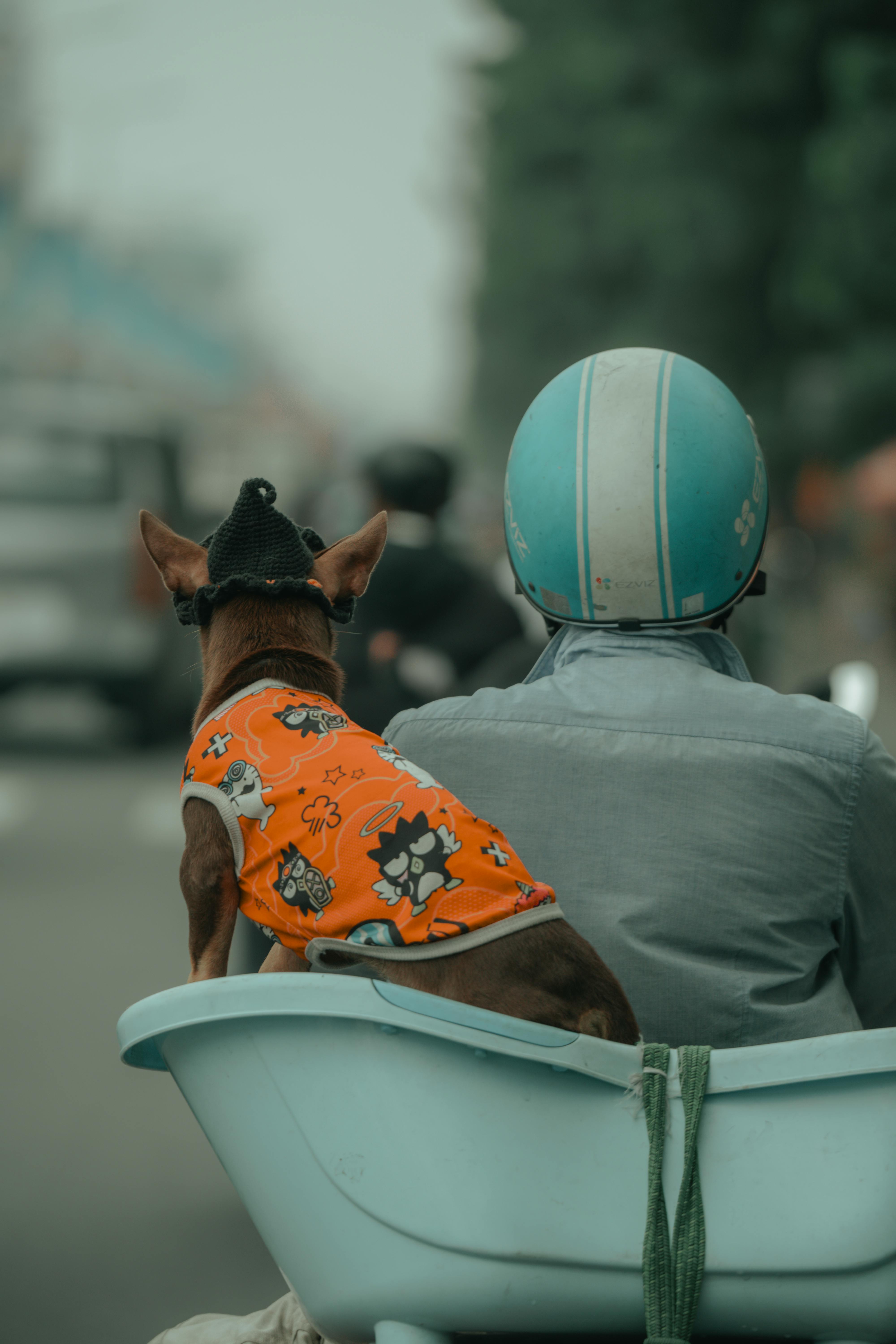 a man and his dog riding in a boat