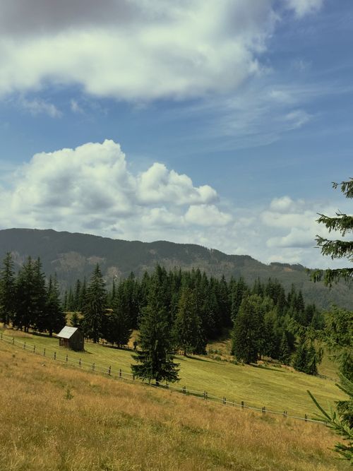 Free Serene countryside scene with rolling hills and lush trees under a vibrant sky. Stock Photo