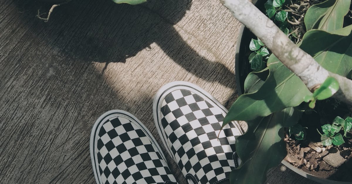 Free stock photo of checkerboard, green, leaf
