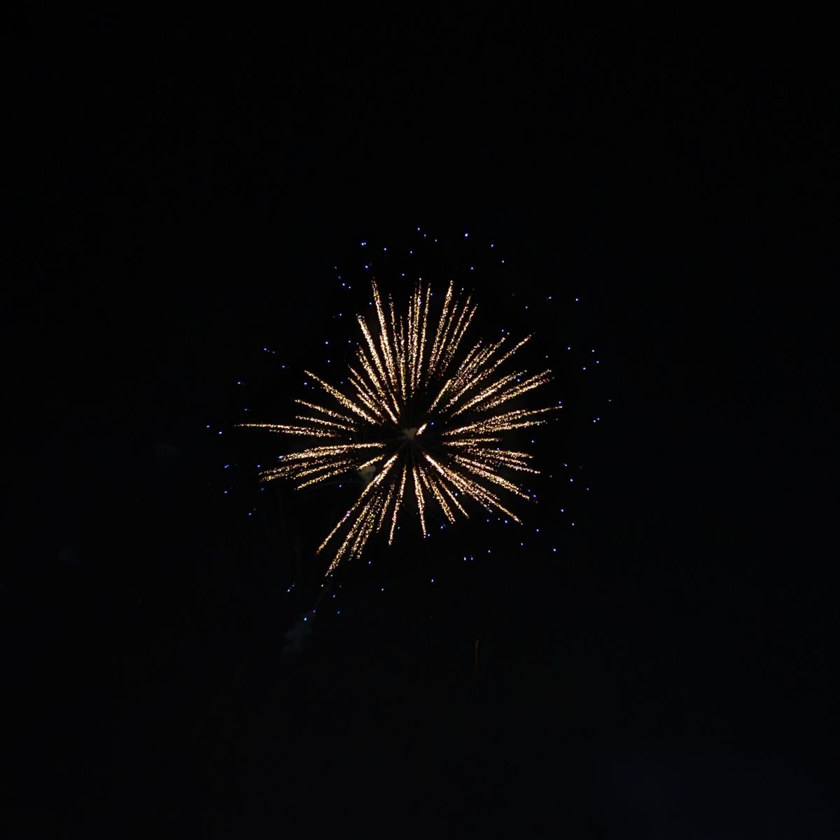 Why is New Year’s Day on January 1?