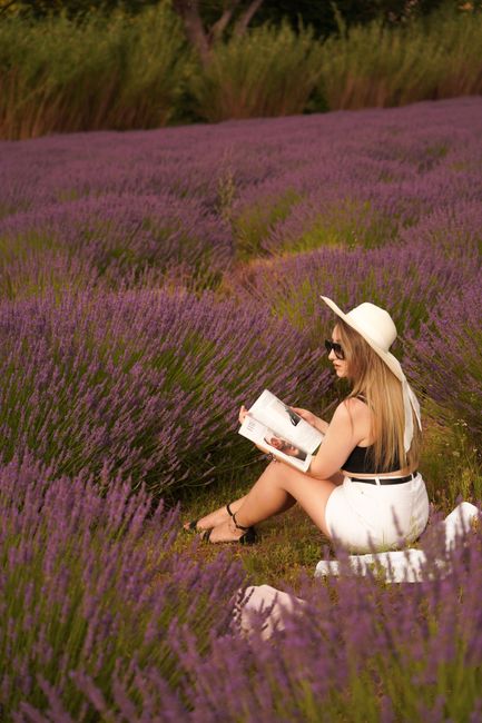 Do a One-Hour Book Reading Sprint