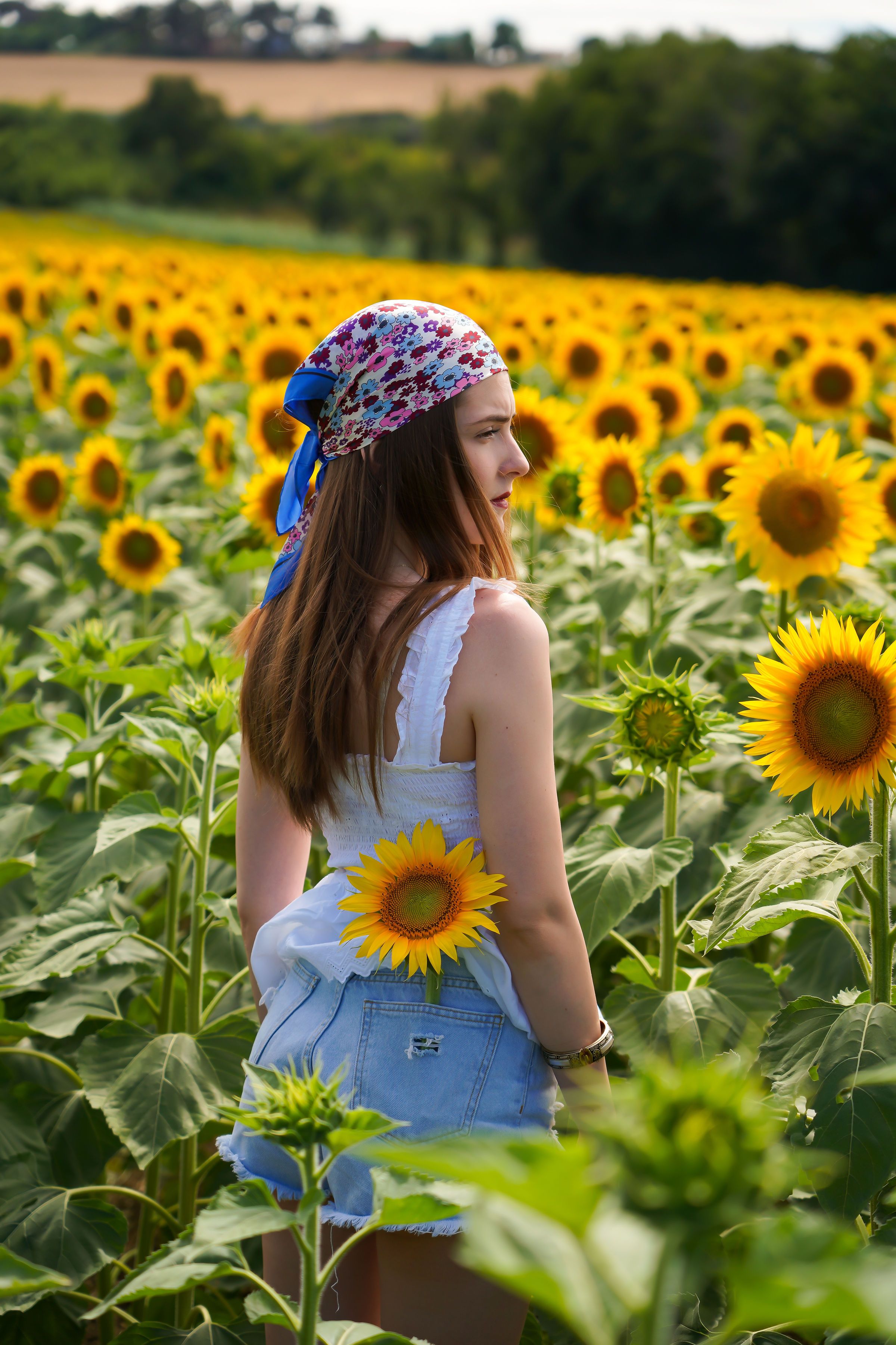 A girl in a sunflower field · Free Stock Photo
