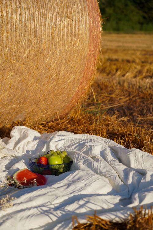 Free A warm picnic setup in a rural field with a hay bale and fresh fruit under the sun. Stock Photo