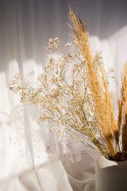 Elegant display of dried pampas grass and baby's breath in soft sunlight.