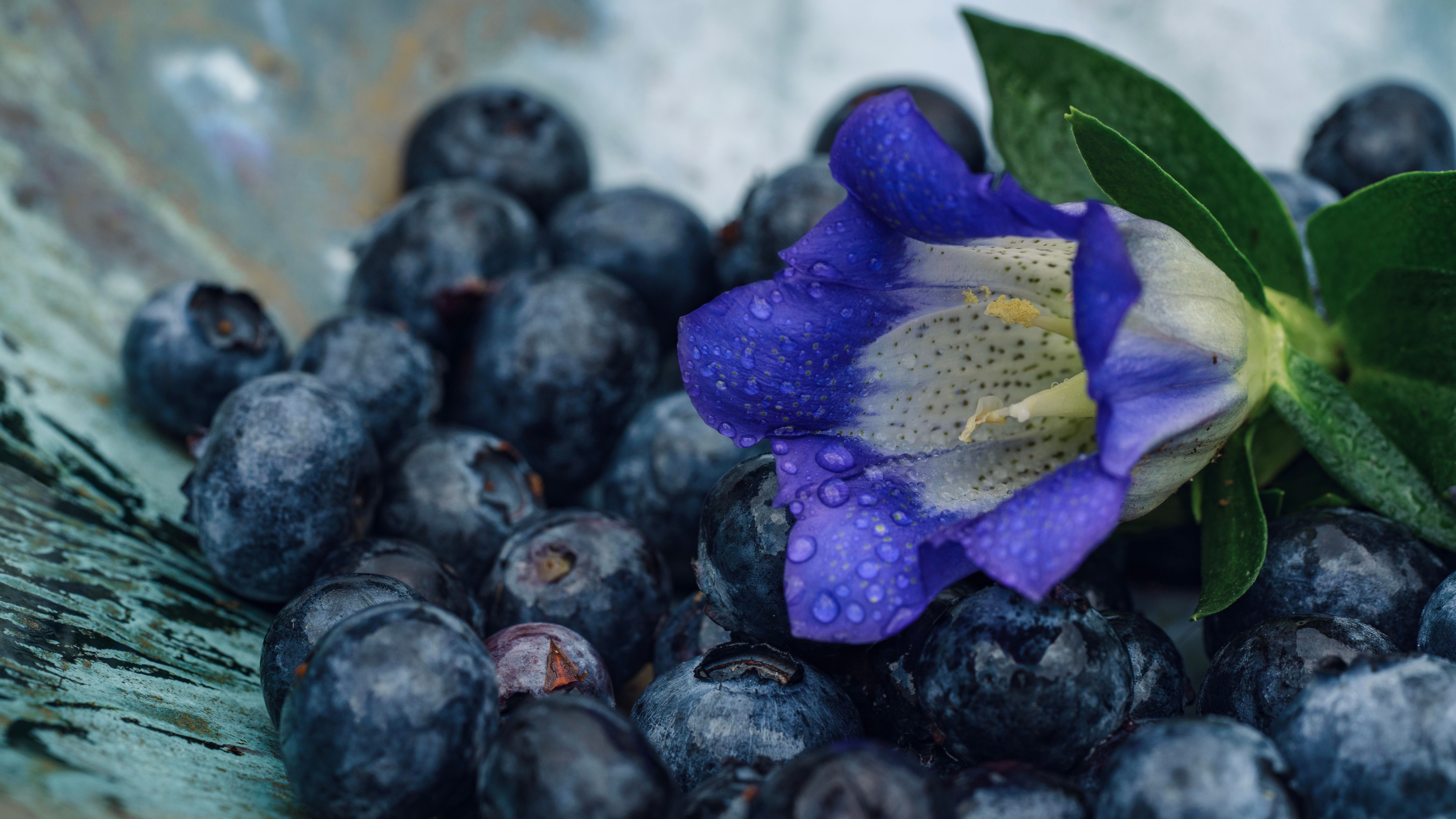 Fruits et cholestérol : les plus efficaces - Comment intégrer ces fruits dans une alimentation anti-cholestérol