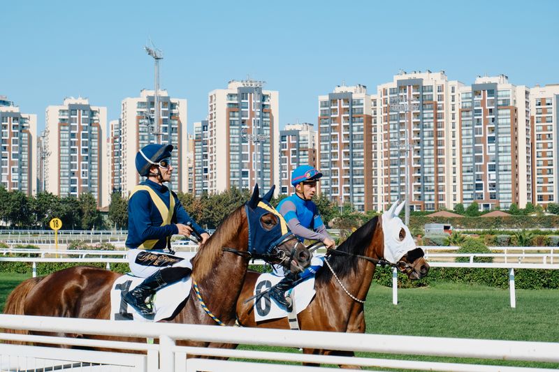 香港賽馬賽事