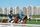 horse racing