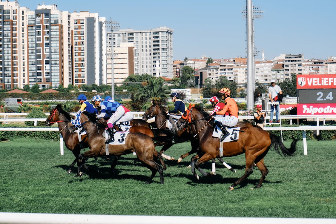 Free Dynamic horse racing scene with jockeys competing fiercely on a sunny day. Stock Photo