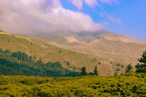 Free Breathtaking mountain landscape with green forests and misty clouds, captured in daylight. Stock Photo