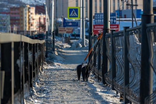 Winter street scene with shovel and icy sidewalk in urban cityscape, framed by buildings and signs.