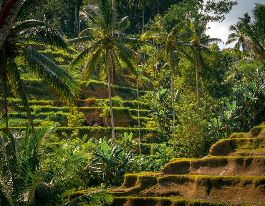 Bali — travel photograph 2