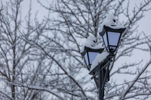 A snow-covered street lamp against bare trees, capturing a serene winter park scene.