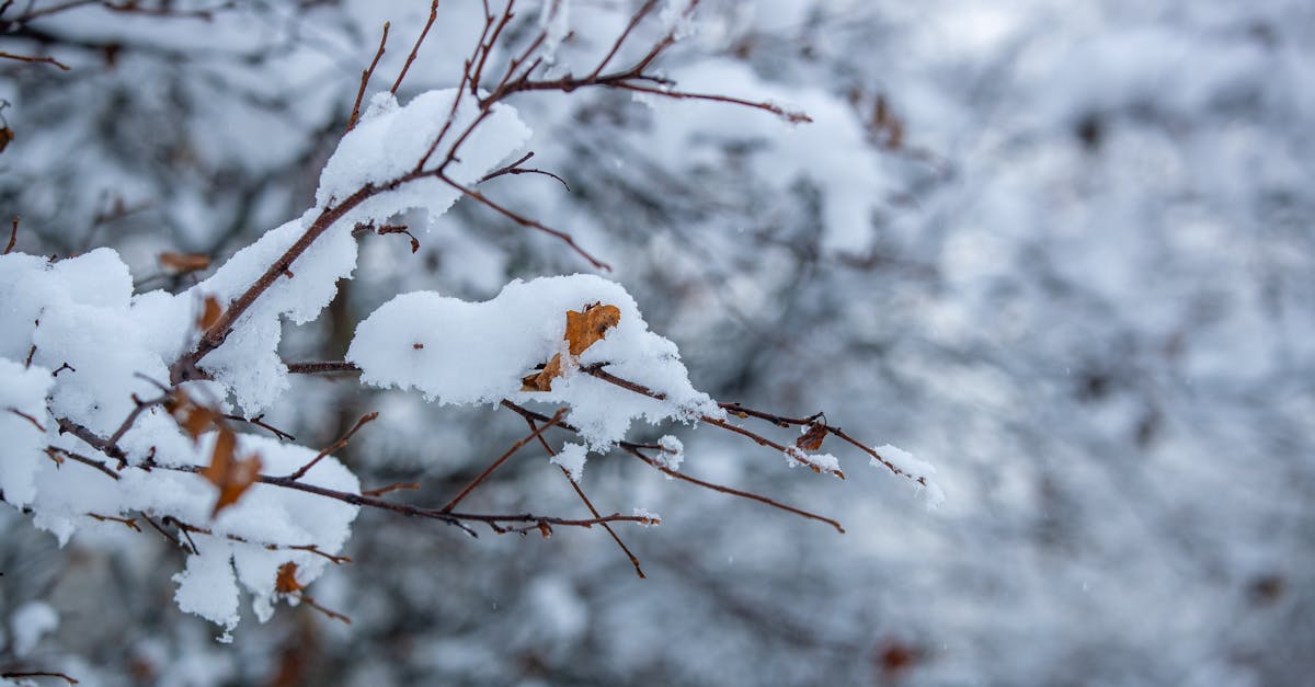 生活:強烈冷氣團來襲!10縣市低溫特報,早晚寒冷需注意