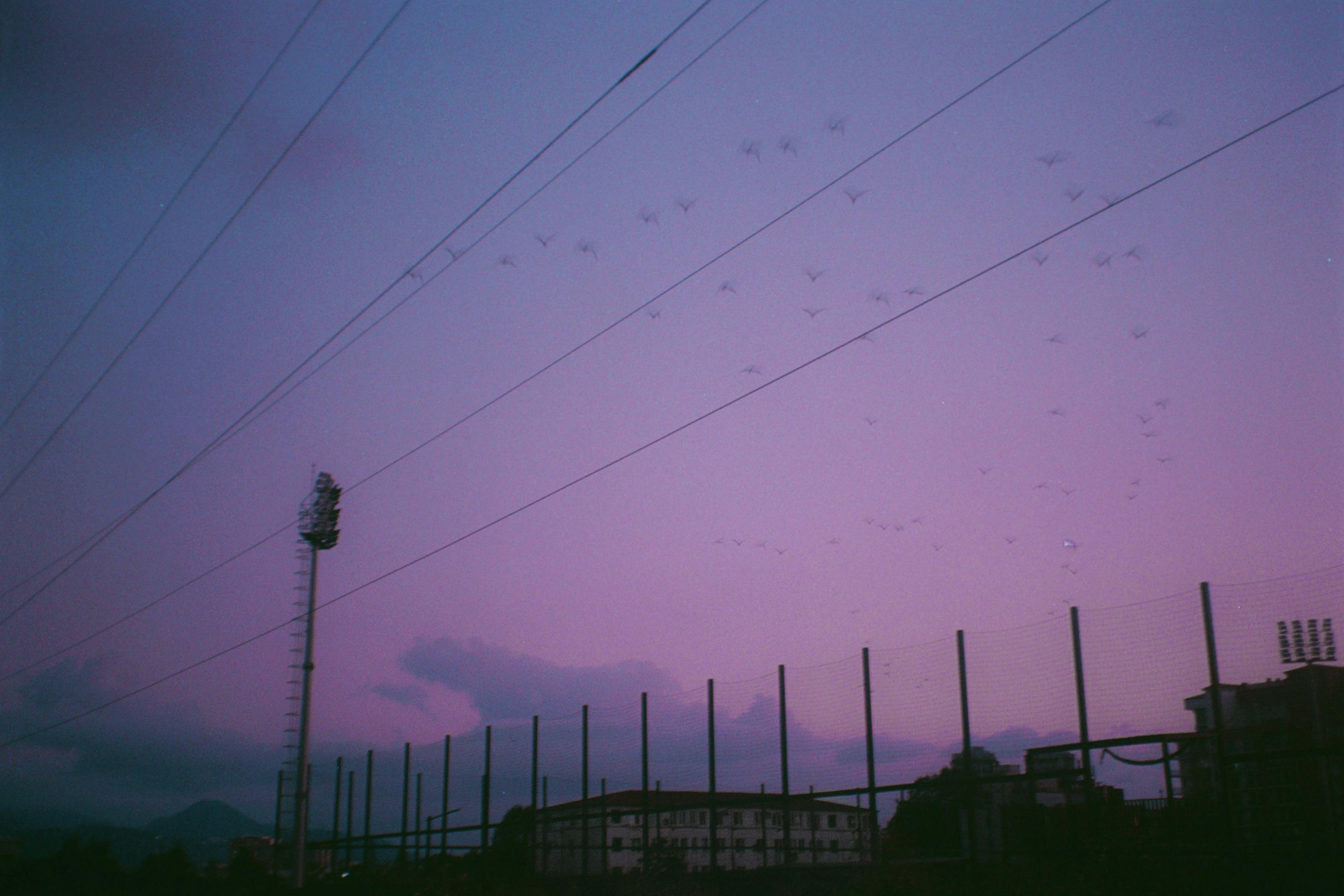 Poti, Georgia - travel photo