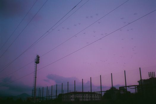 Silhouette of an urban skyline with birds and power lines at sunset in Batumi, Georgia.
