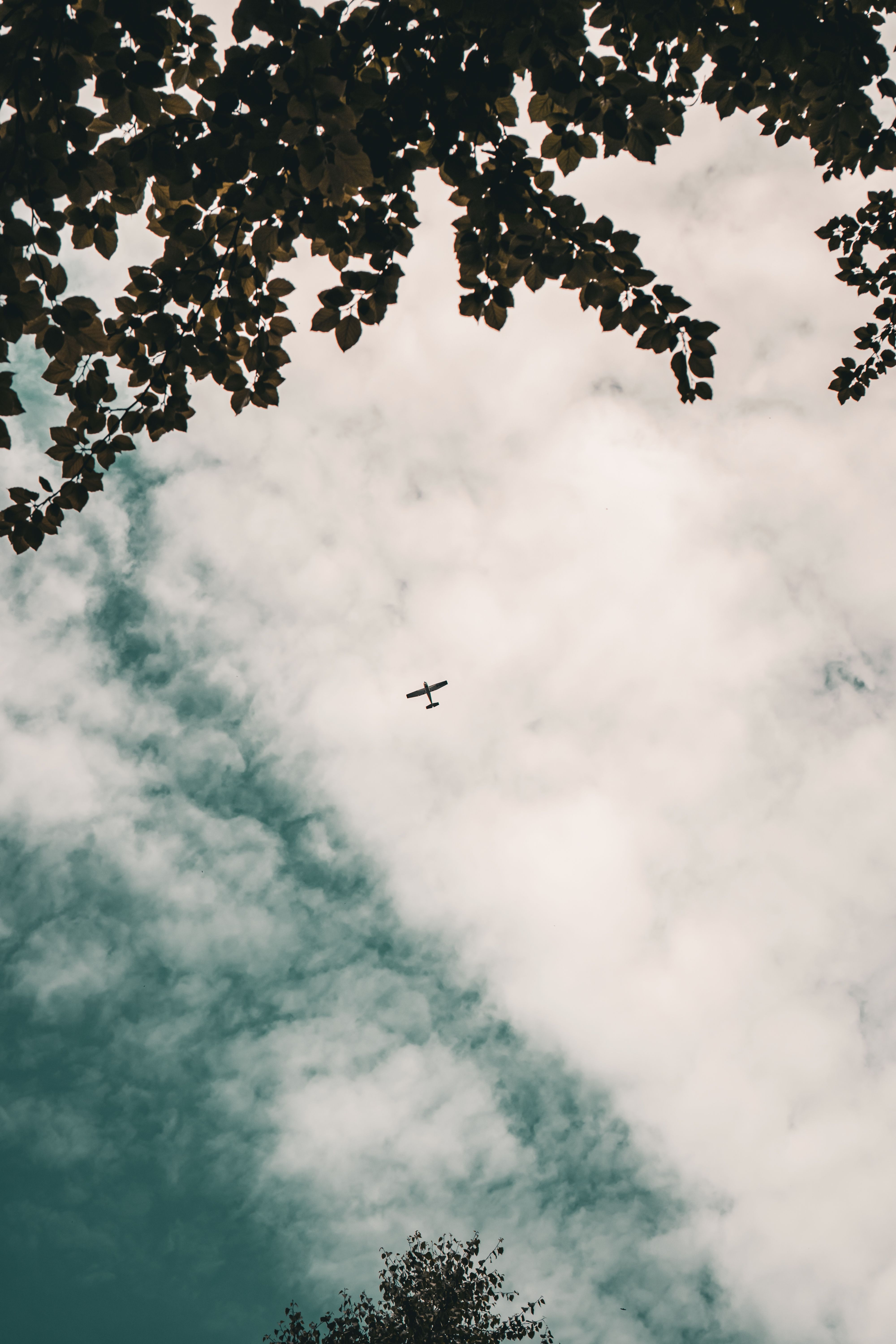 A plane flying through the clouds with trees in the background · Free ...
