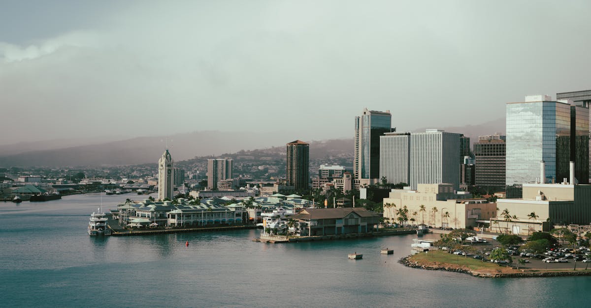 Photo by Donovan Kelly A scenic view of Honolulu's cityscape with waterfront buildings and a vibrant skyline.