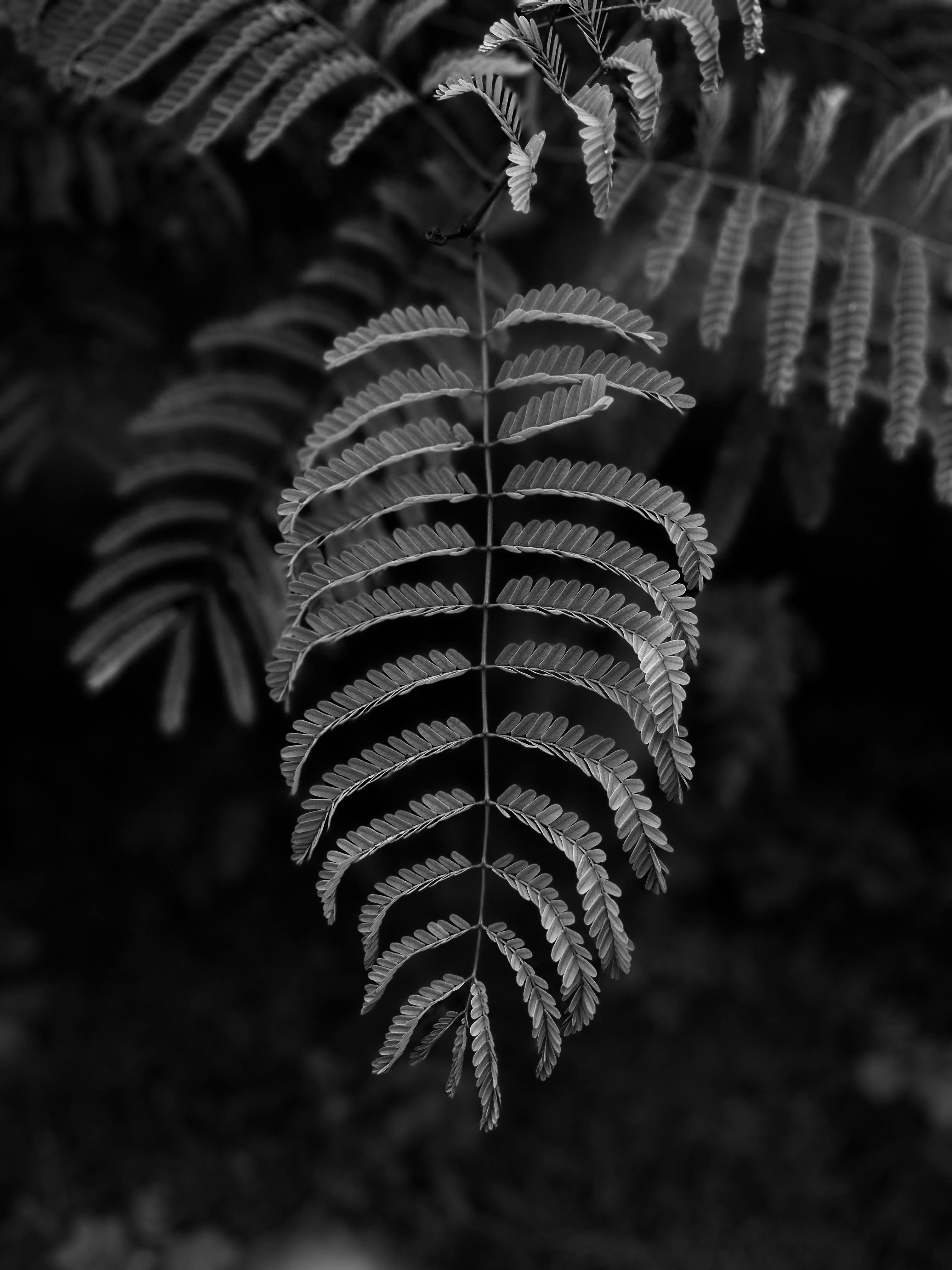 Iphone Wallpaper Simple Photos Download The BEST Free Iphone Wallpaper iphone-wallpaper-simple-photos-download-the-best-free-iphone-wallpaper