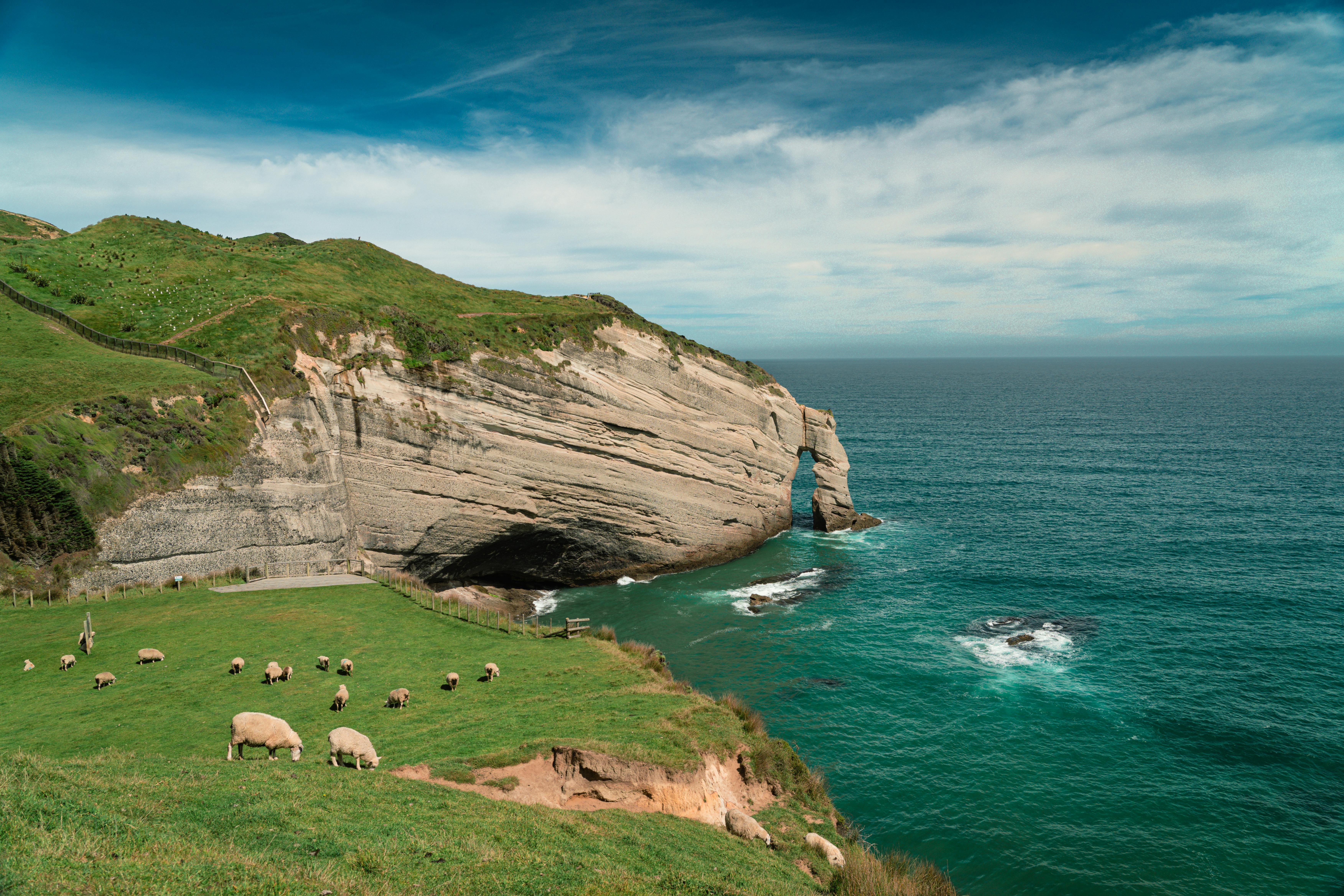 general travel new zealand tours — Photo by Donovan Kelly on Pexels