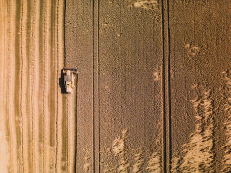 Drone shot of a combine harvesting wheat in rural Germany fields.