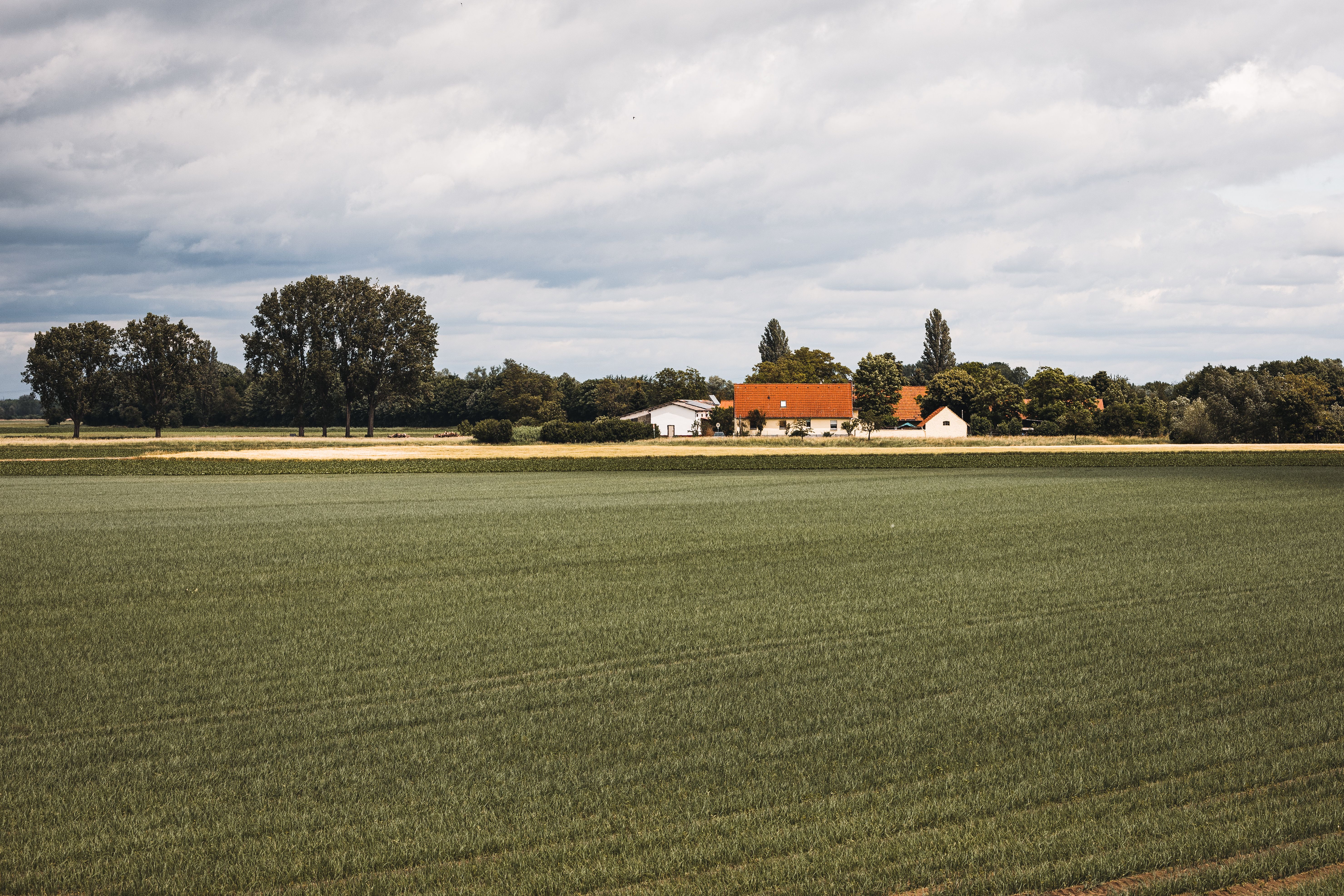 Idyllic countryside view of a farm with wheat fields and trees under a cloudy sky.