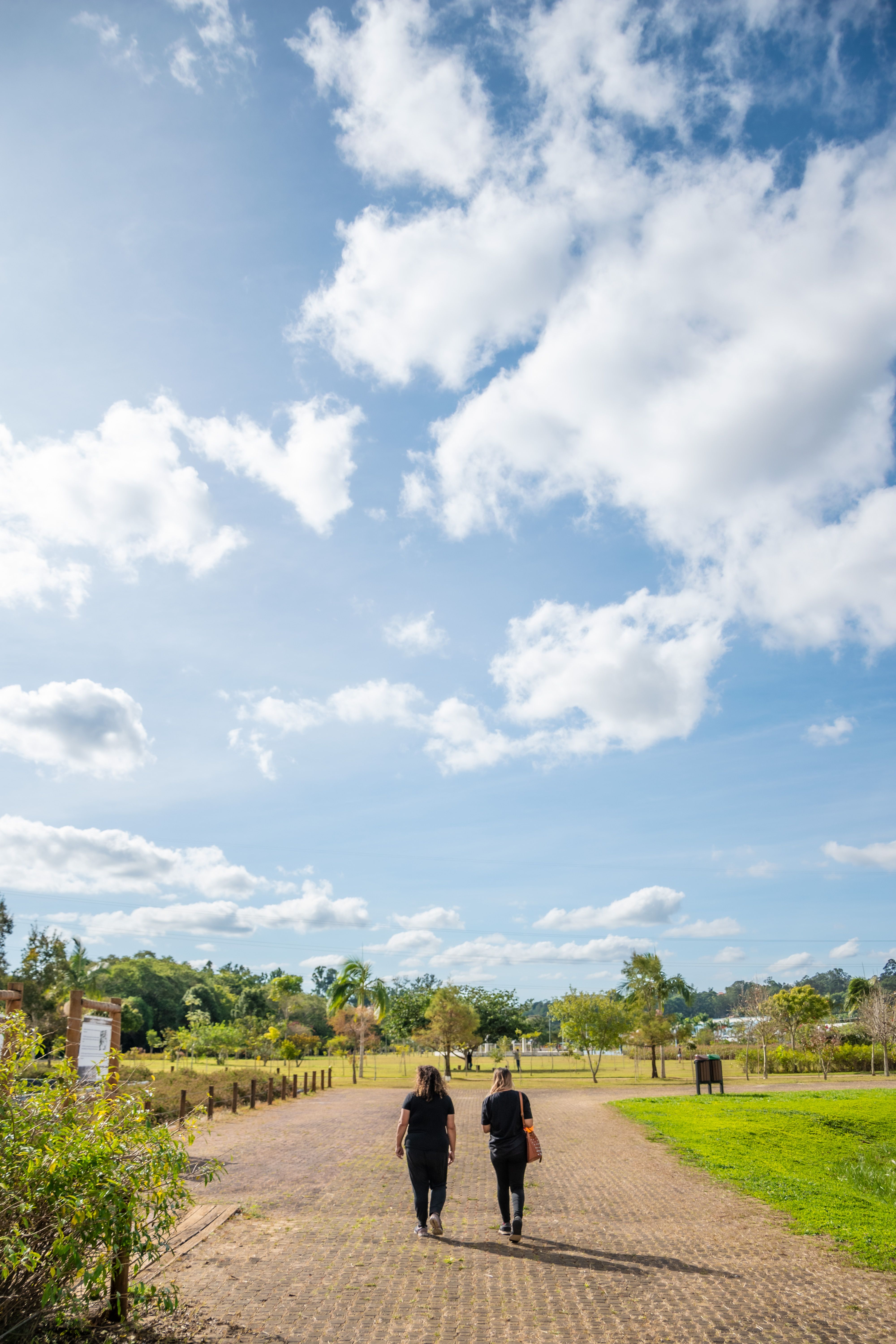 A serene scene of two people walking down a rural path in São Paulo, Brazil.