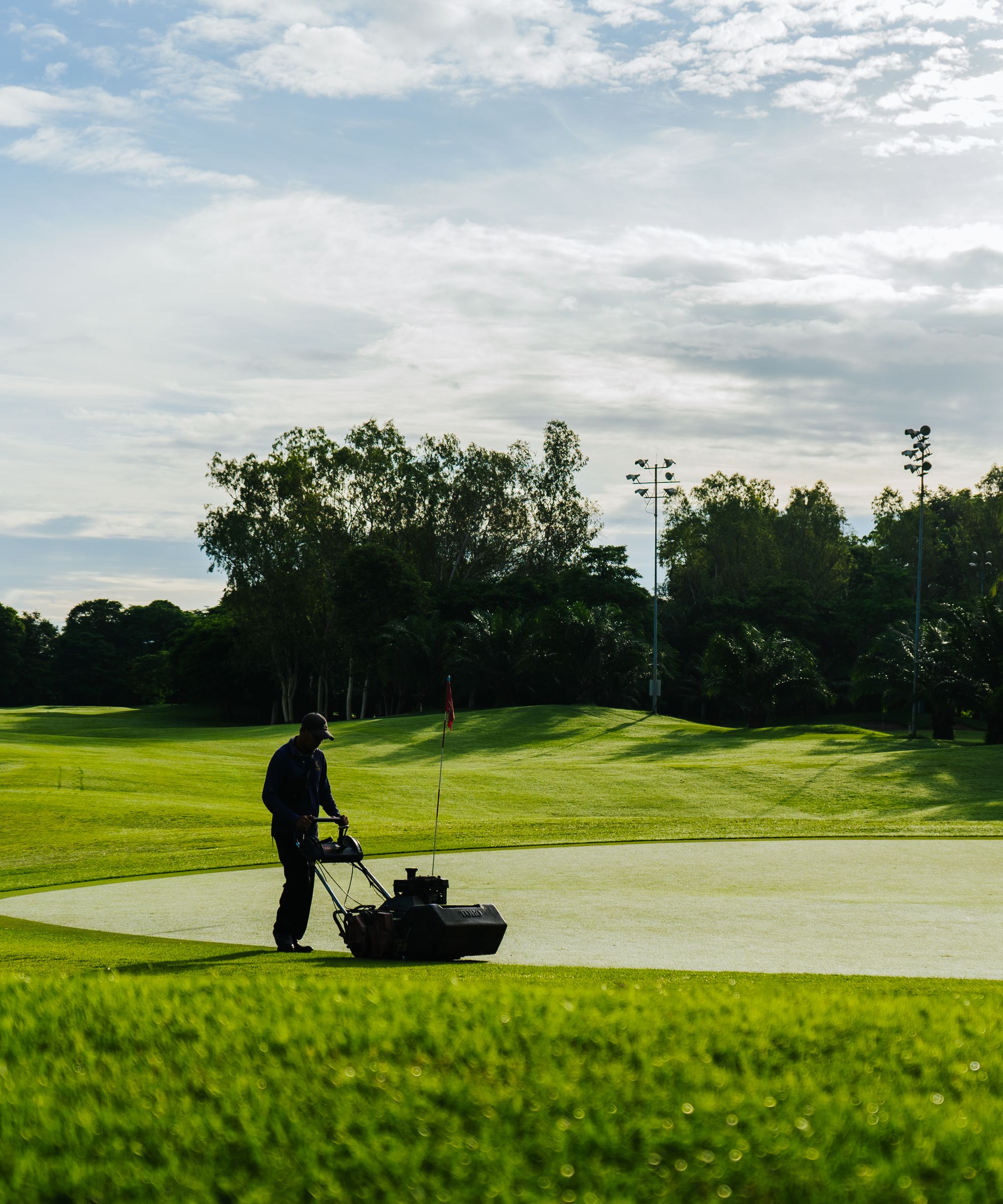 Golfer on a green golf course