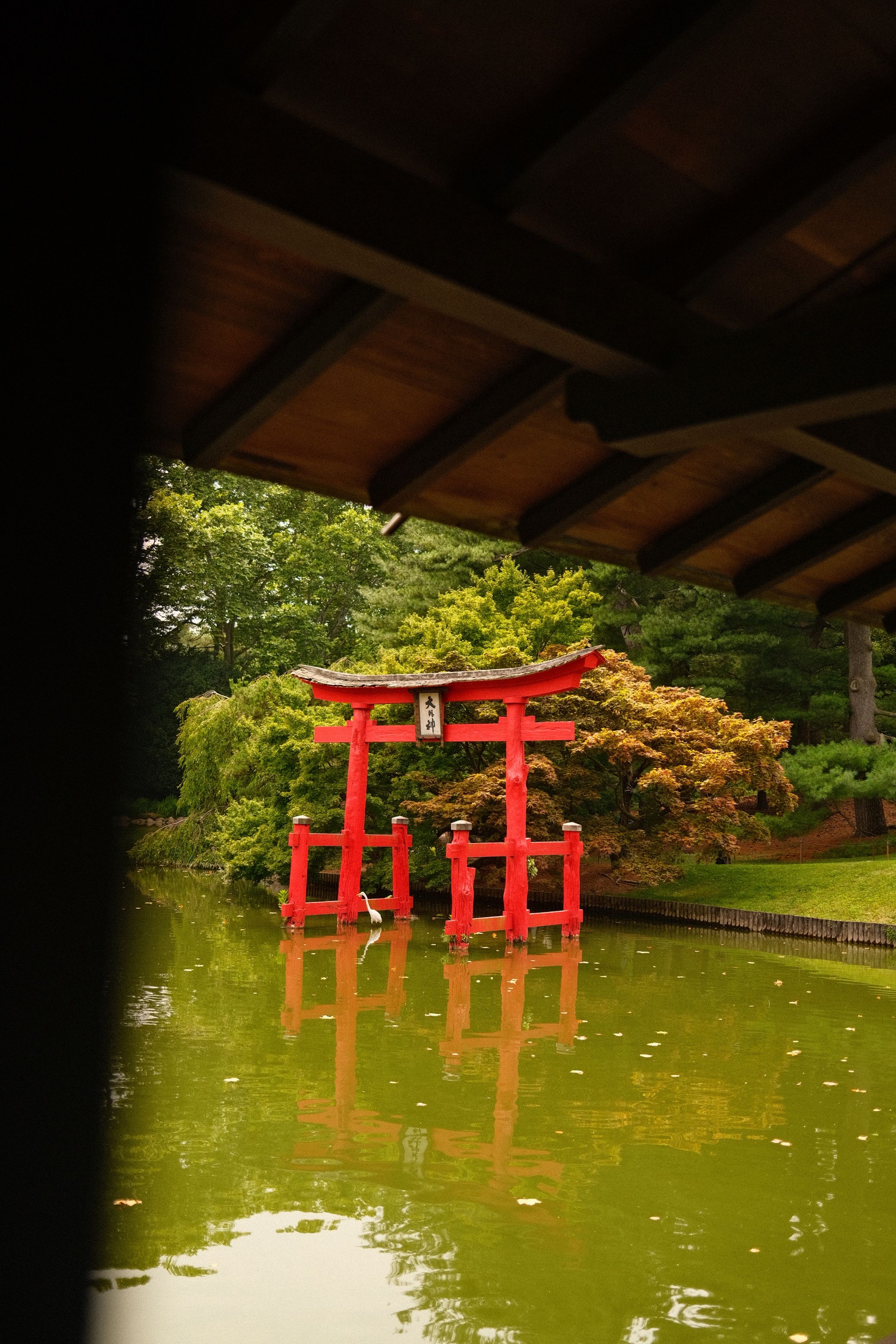 Gate in Brooklyn Botanic Garden in New York City, USA · Free Stock Photo